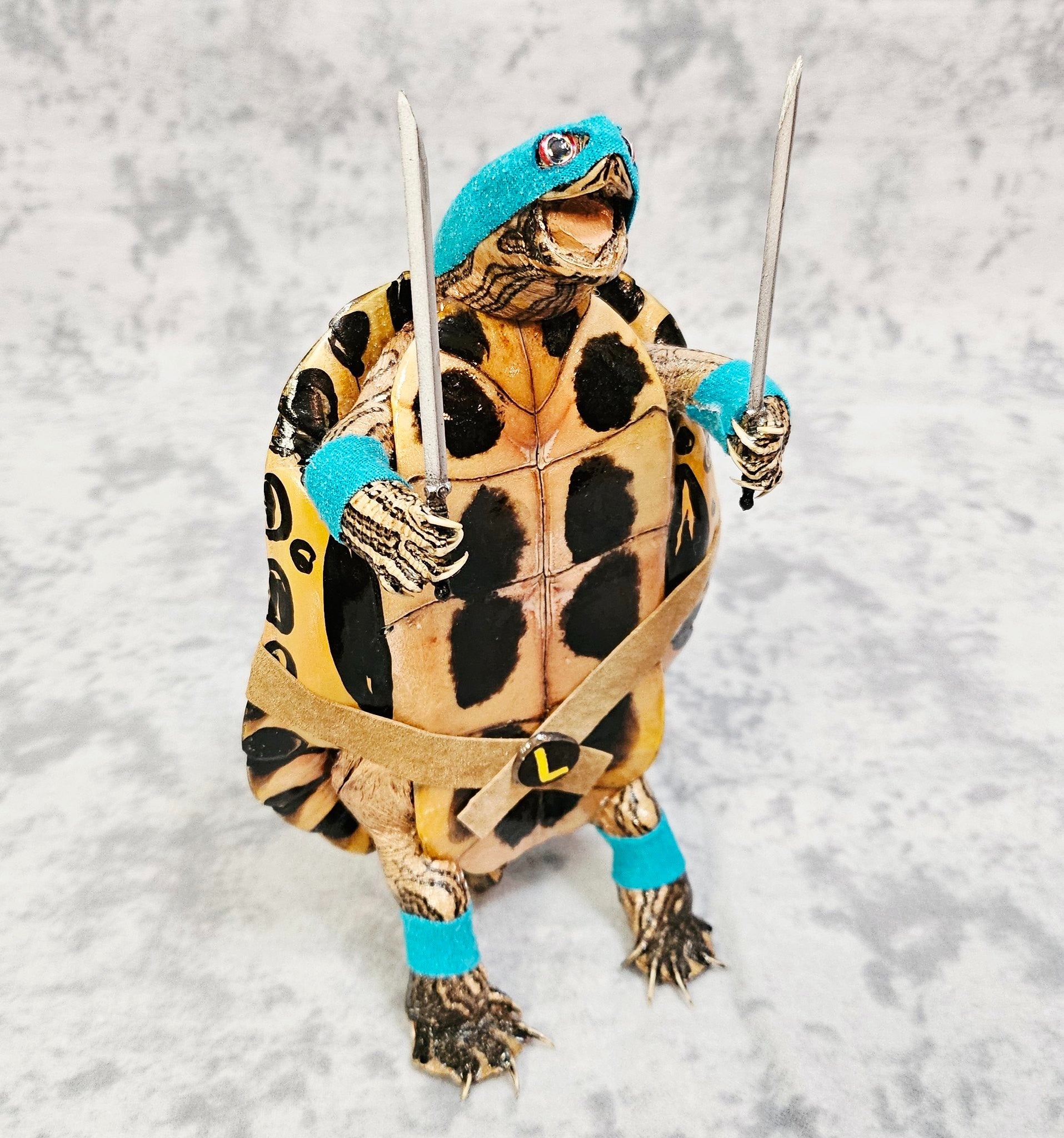 c*n様 ①　激レア‼️　北極キツネ　剥製　錦鶏鳥　プラチナキツネ　狸　隼　５体 Teenage Mutant Ninja Turtle - Leonardo | Cryptic Creatures Taxidermy